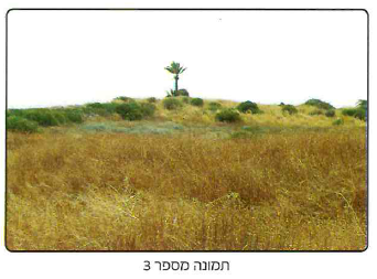 (בספר 3 תמונות)